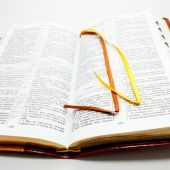 Библия каноническая (переплет из иск. кожи; рисунок обложки: бабочки)